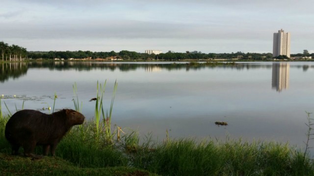 Mesmo com o calor, há previsão de chuva para hoje em Três Lagoas