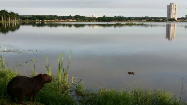 Mesmo com o calor, há previsão de chuva para hoje em Três Lagoas