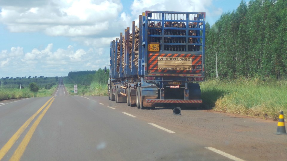 BR-262 está ponteada de trechos perigosos, entre Três Lagoas e Capital