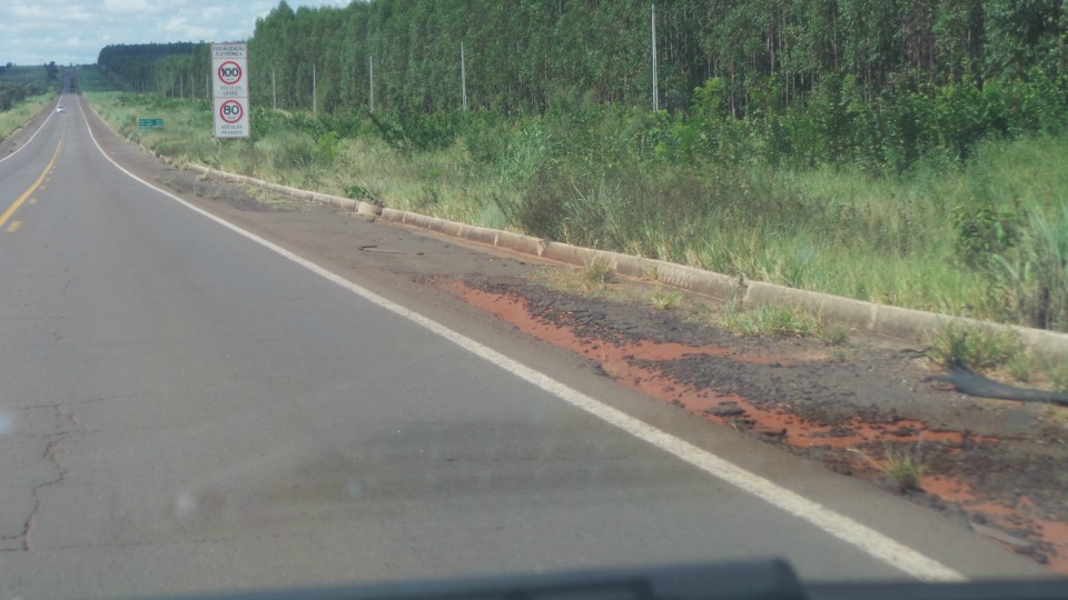 BR-262 está ponteada de trechos perigosos, entre Três Lagoas e Capital