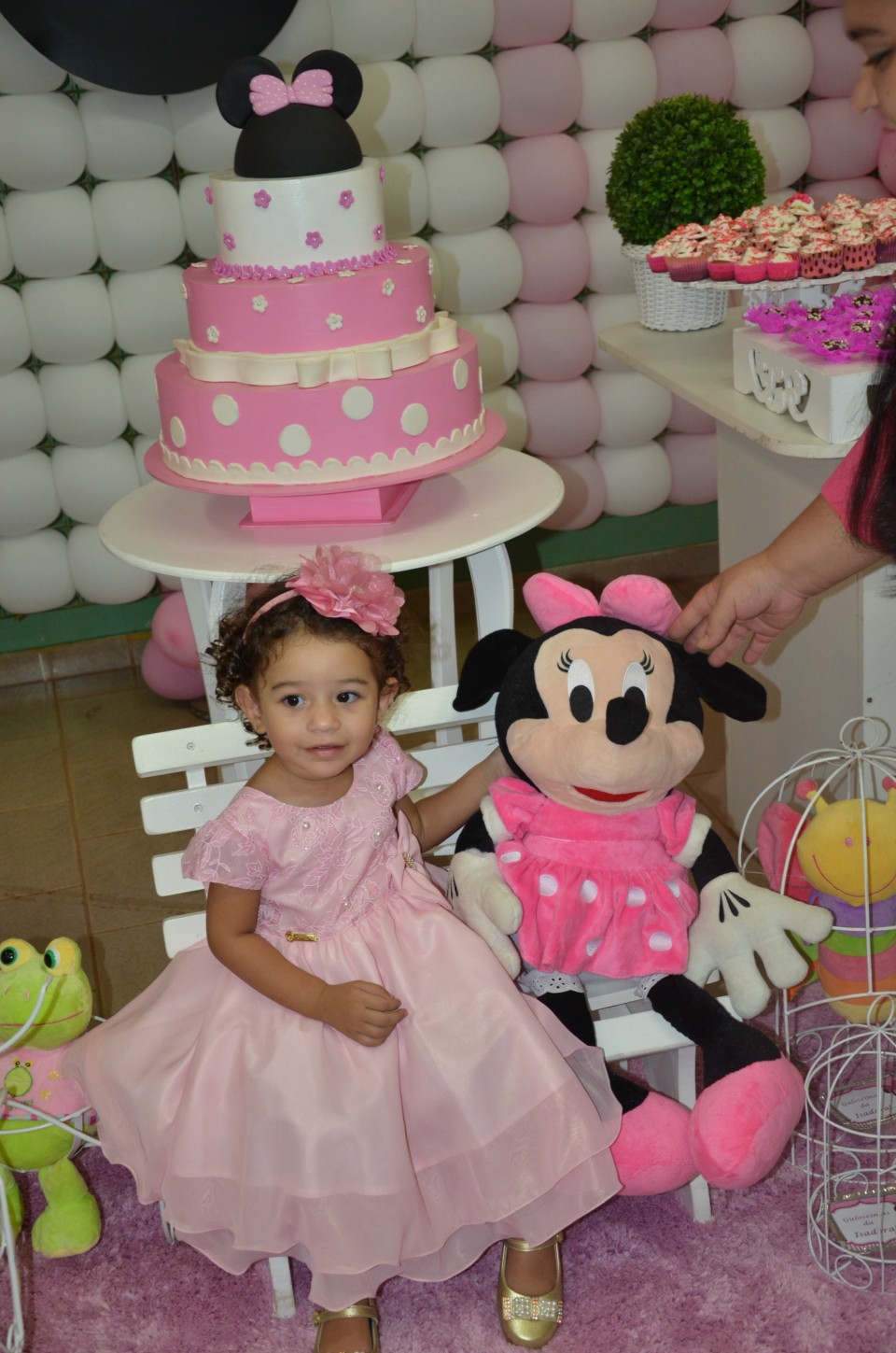 Festa de 2 aninhos da Isadora Dias Serapião