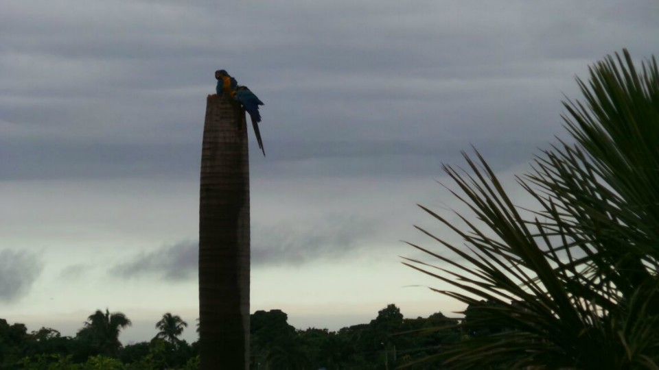 Segunda-feira terá previsão de mais chuva em Três Lagoas