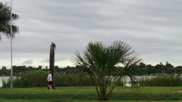 Segunda-feira terá previsão de mais chuva em Três Lagoas