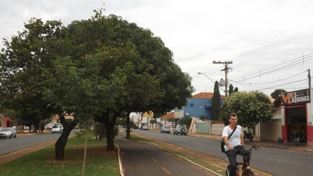 Confira a previsão do tempo para esta segunda-feira (18)