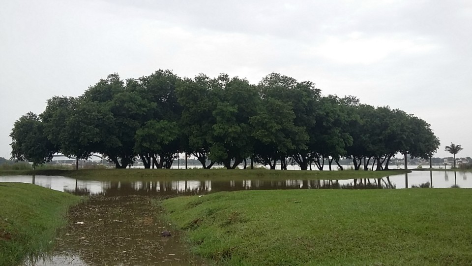 Previsão de chuva durante o dia e a noite nesta terça-feira