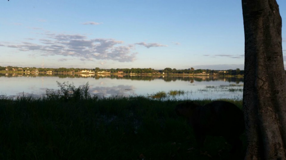 Previsão de sol o dia todo, sem nuvens no céu para esta terça-feira