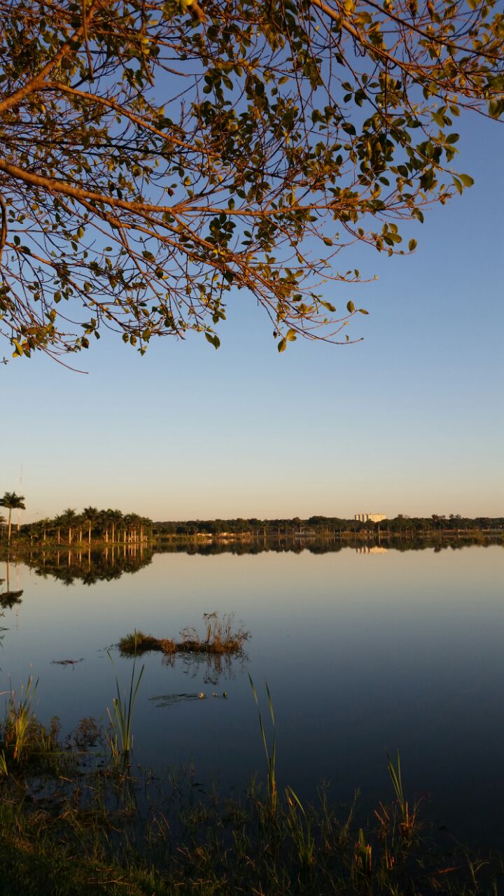 Quinta-feira com previsão de sol e algumas nuvens em Três Lagoas