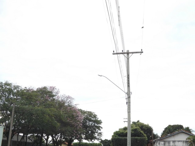 Previsão de tempo estável para a terça-feira em Três Lagoas