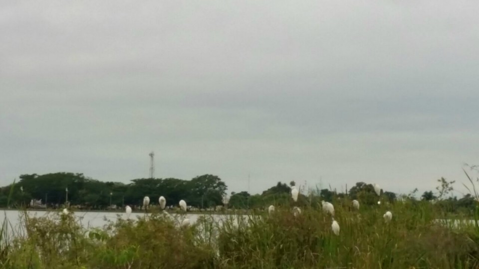 Sexta-feira inicia com tempo frio e céu nublado em Três Lagoas