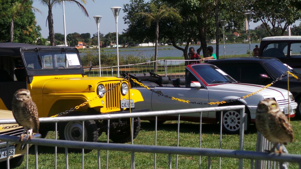 Exposição de carros antigos atrai atenção do público