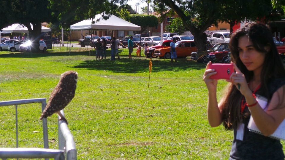 Exposição de carros antigos atrai atenção do público