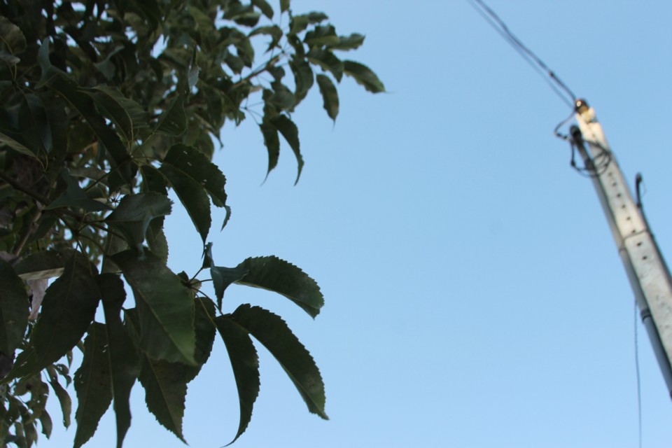 Sexta-feira inicia com céu claro e sem nuvens em Três Lagoas