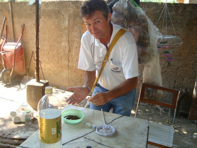 Setor de Entomologia realiza trabalho de estudo biológico de vetores