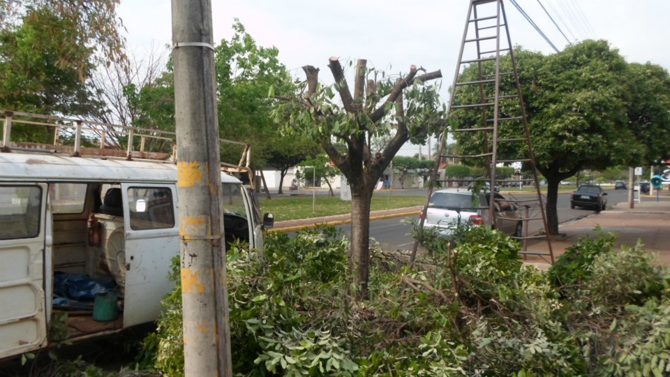 Três-lagoense é autuado por poda radical de árvores em logradouro público sem autorização