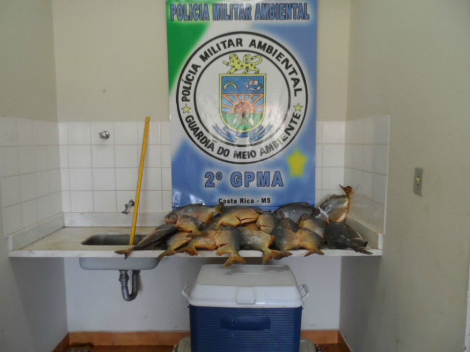 PMA inicia Operação Pré-piracema em proteção aos recursos pesqueiros do Estado
