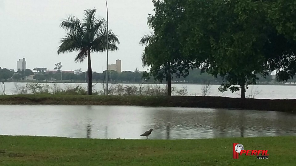 Final de semana terá previsão de chuva e de tempo nublado em Três Lagoas