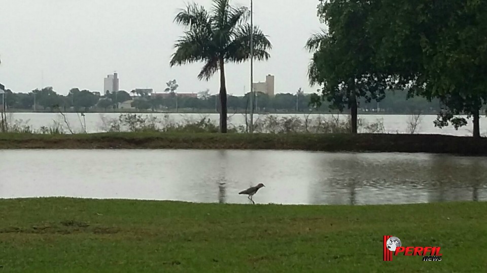 Final de semana terá previsão de chuva e de tempo nublado em Três Lagoas