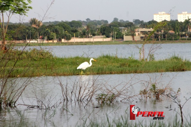 Em Três Lagoas, temperatura não deve ultrapassar os 30° hoje