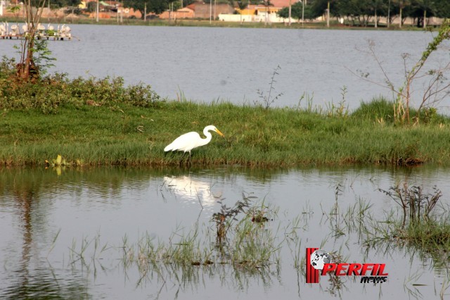 Em Três Lagoas, temperatura não deve ultrapassar os 30° hoje