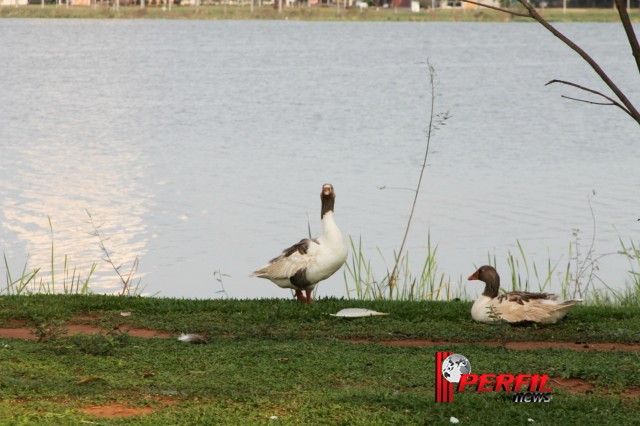 Em Três Lagoas, temperatura não deve ultrapassar os 30° hoje