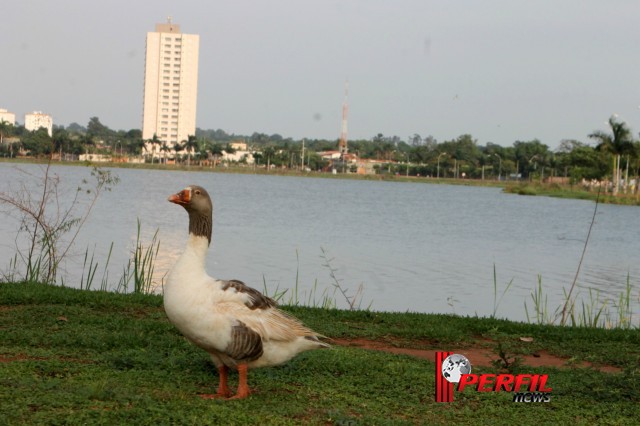 Em Três Lagoas, temperatura não deve ultrapassar os 30° hoje