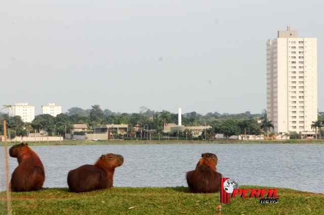 Em Três Lagoas, temperatura não deve ultrapassar os 30° hoje