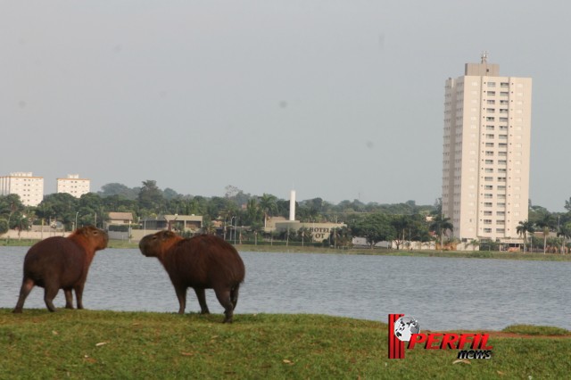 Em Três Lagoas, temperatura não deve ultrapassar os 30° hoje