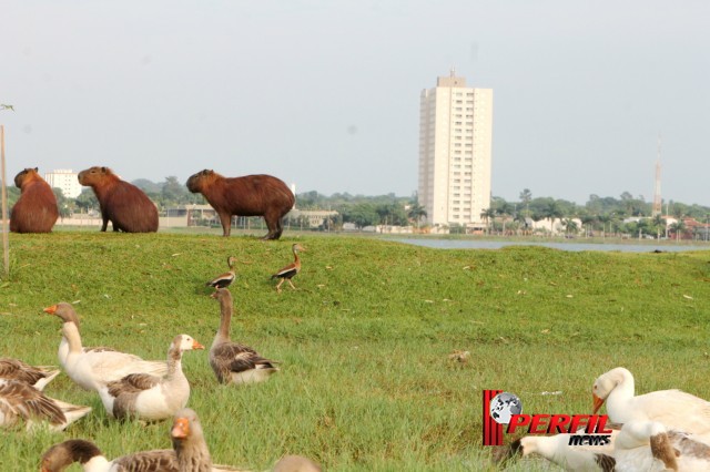 Em Três Lagoas, temperatura não deve ultrapassar os 30° hoje