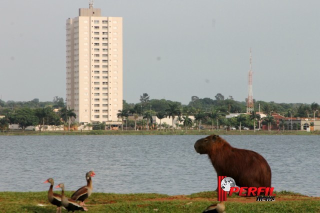 Em Três Lagoas, temperatura não deve ultrapassar os 30° hoje