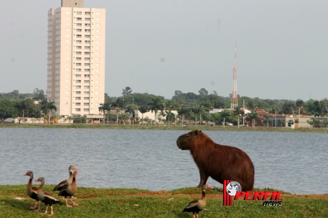 Em Três Lagoas, temperatura não deve ultrapassar os 30° hoje