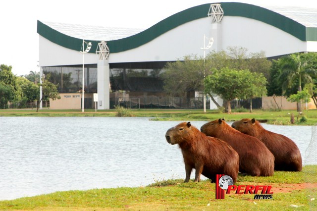 Em Três Lagoas, temperatura não deve ultrapassar os 30° hoje