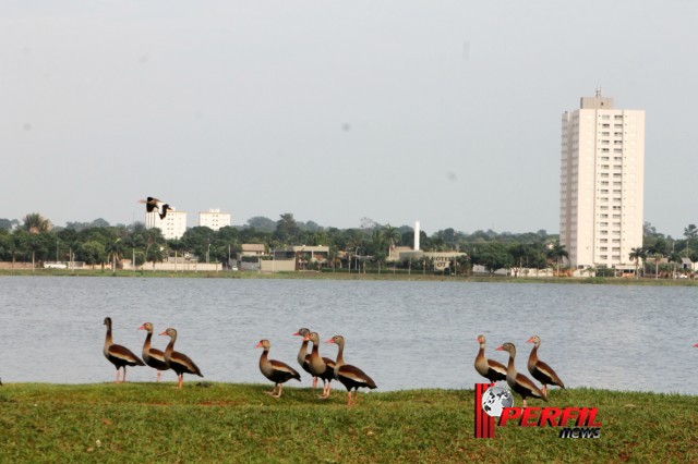 Em Três Lagoas, temperatura não deve ultrapassar os 30° hoje