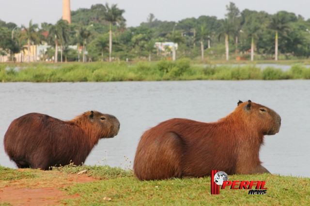 Em Três Lagoas, temperatura não deve ultrapassar os 30° hoje