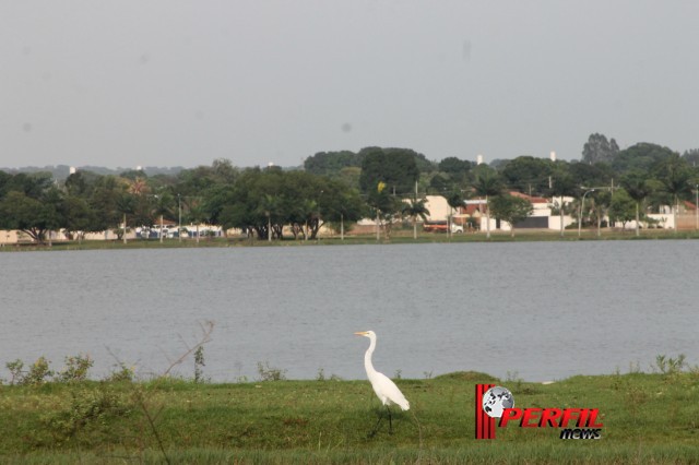 Em Três Lagoas, temperatura não deve ultrapassar os 30° hoje