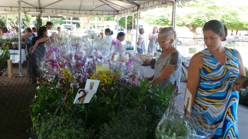 Exposição solidária de flores beneficiará APAE de Três Lagoas