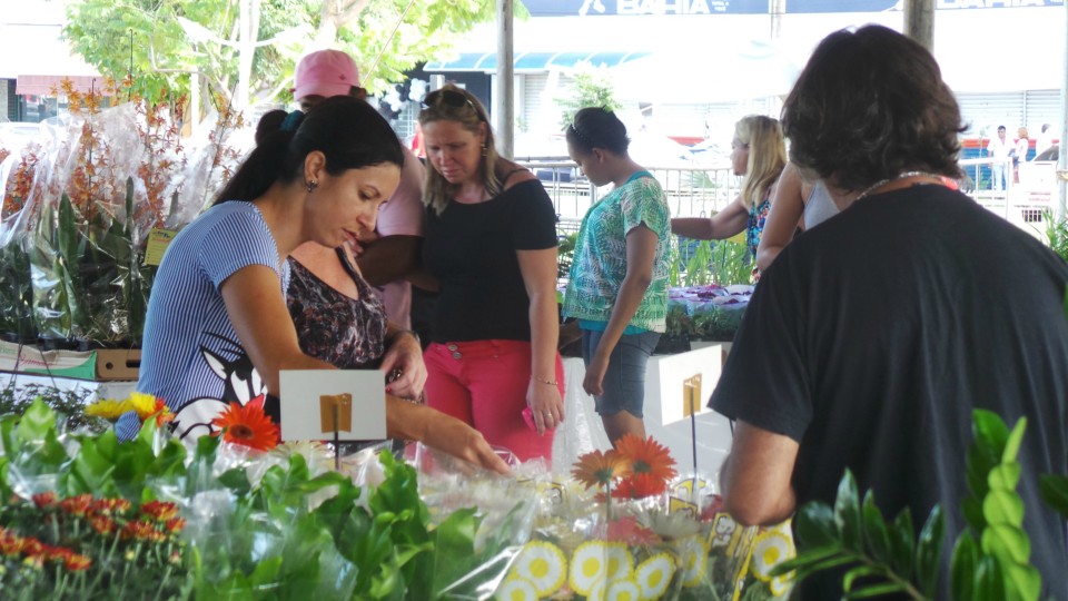 Exposição solidária de flores beneficiará APAE de Três Lagoas