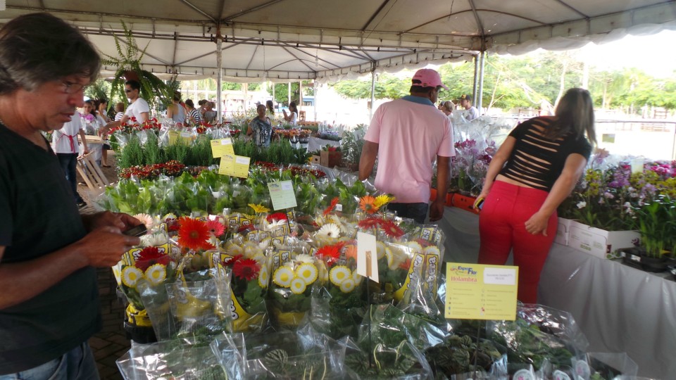 Exposição solidária de flores beneficiará APAE de Três Lagoas