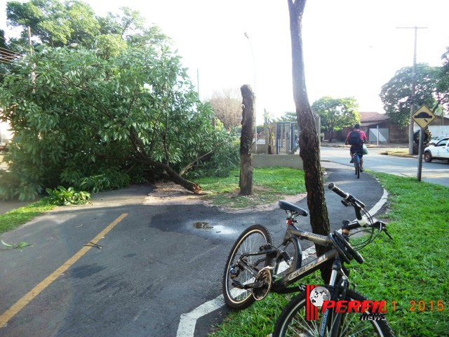 Tempestade causa destruição e deixa Três Lagoas às escuras e alagada