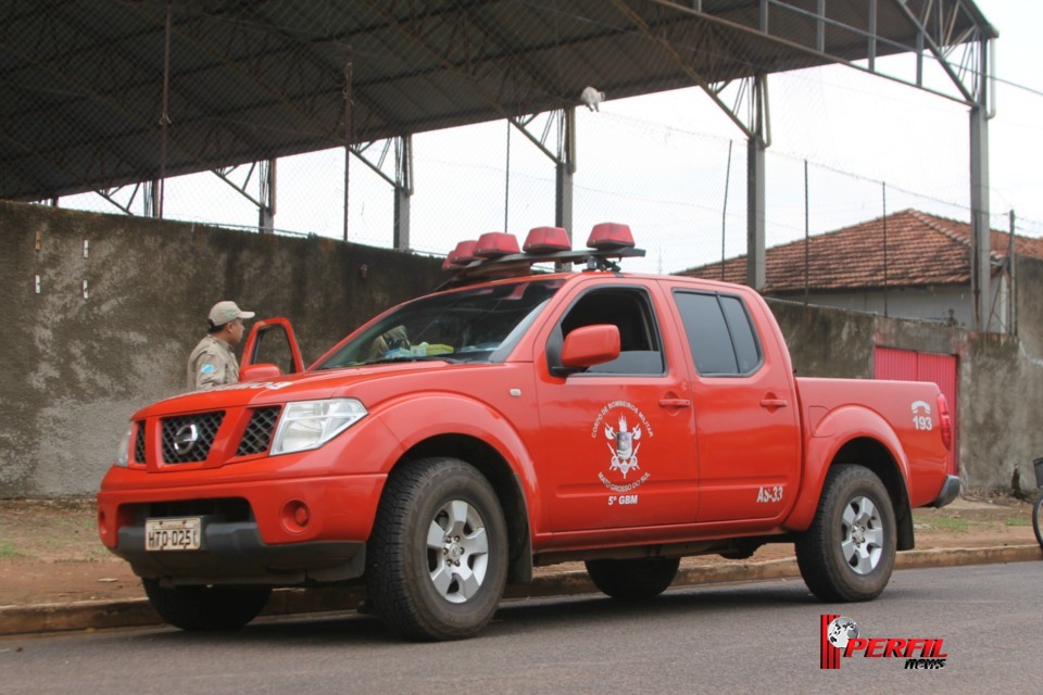 Gato preso em alambrado mobiliza Bombeiros de Três Lagoas Gato preso em alambrado mobiliza Bombeiros de Três Lagoas