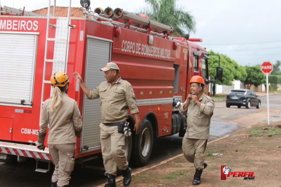 Gato preso em alambrado mobiliza Bombeiros de Três Lagoas Gato preso em alambrado mobiliza Bombeiros de Três Lagoas