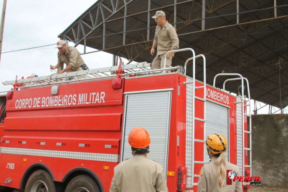 Gato preso em alambrado mobiliza Bombeiros de Três Lagoas Gato preso em alambrado mobiliza Bombeiros de Três Lagoas