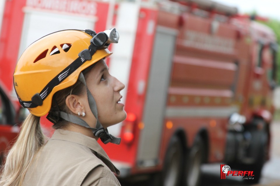 Gato preso em alambrado mobiliza Bombeiros de Três Lagoas Gato preso em alambrado mobiliza Bombeiros de Três Lagoas