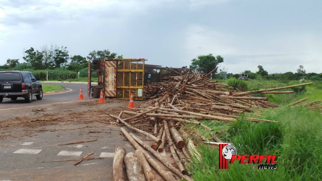 Motorista dorme e carreta de eucalipto tomba em rotatória de Três Lagoas