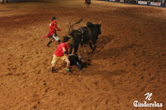 Expotrês 2011 Expotrês 2011