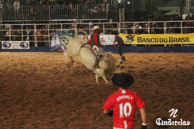 Expotrês 2011 Expotrês 2011