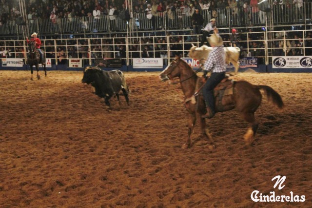 Expotrês 2011 Expotrês 2011