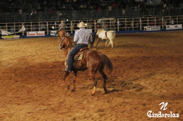 Expotrês 2011 Expotrês 2011