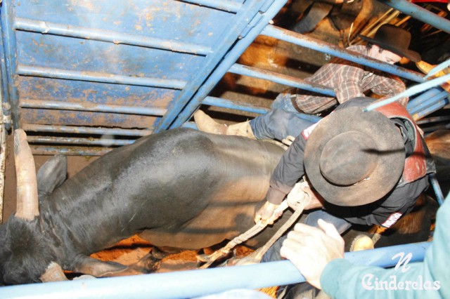 Expotrês 2011 Expotrês 2011