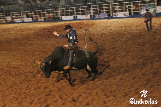 Expotrês 2011 Expotrês 2011