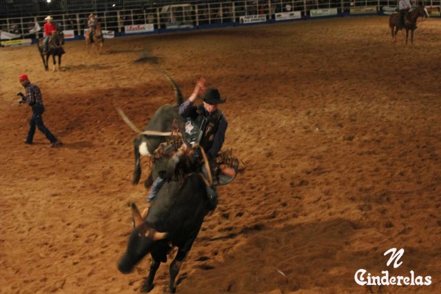 Expotrês 2011 Expotrês 2011